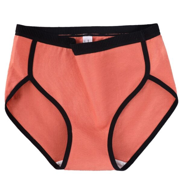 Nahtlose Frauen Höschen Plus Größe Baumwolle Unterwäsche Dame Mid Taille Super Elastische Bequeme Unterhose Atmungsaktive Unterhosen