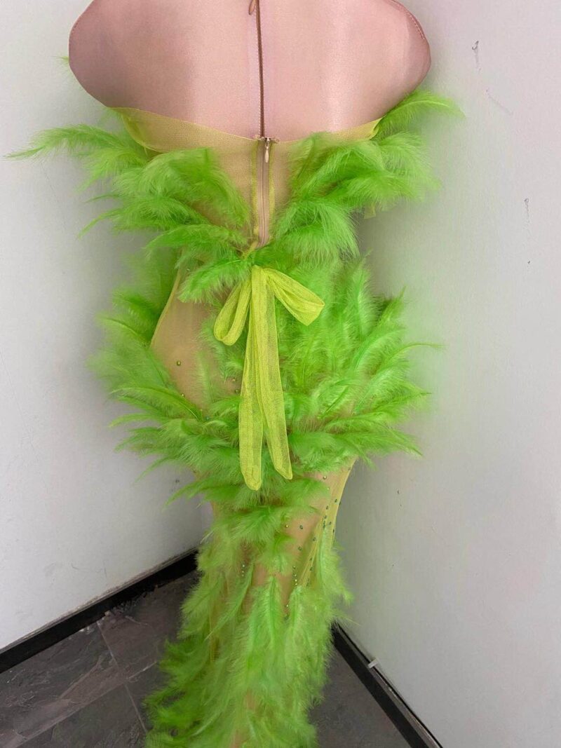 Sexy Kristall Sehen Durch Mesh Meerjungfrau Kleid Dame Halter Perspektive Party Federn Kleid Frauen Sänger Bodycon Abend Langes Kleid – Bild 6