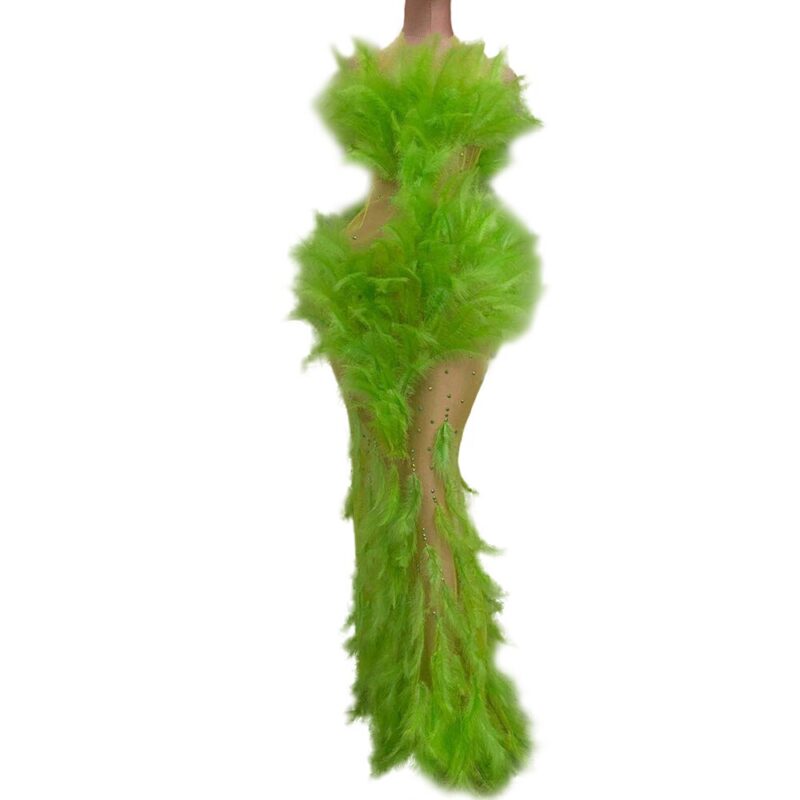 Sexy Kristall Sehen Durch Mesh Meerjungfrau Kleid Dame Halter Perspektive Party Federn Kleid Frauen Sänger Bodycon Abend Langes Kleid